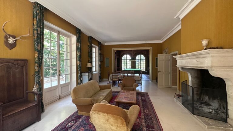 Le grand salon et sa cheminée